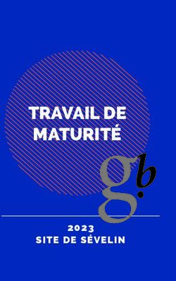 TRAVAIL DE MATURITÉ - SITE DE SÉVELIN 2023 - Gymnase du Bugnon