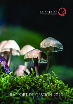RAPPORT DE GESTION 2020 - ECA Jura