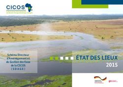 CICOS - ÉTAT DES LIEUX 2015