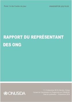 RAPPORT DU REPRÉSENTANT DES ONG - UNAIDS/PCB (43)/18.20