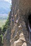 Le Bouquetin - Club Alpin de la Gruy&egrave;re