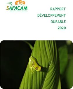 RAPPORT DÉVELOPPEMENT DURABLE 2020 - Socfin