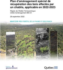 Plan d'am&eacute;nagement sp&eacute;cial de r&eacute;cup&eacute;ration des bois affect&eacute;s par un chablis, applicable en 2022-2023 - MINIST&Egrave;RE DES FOR&Ecirc;TS, DE LA FAUNE ET DES PARCS