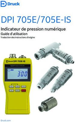 DPI 705E/705E-IS Indicateur de pression numérique - Guide d'utilisation Traduction des instructions d'origine - Baker Hughes Digital Solutions
