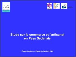Étude sur le commerce et l'artisanat en Pays Sedanais - Préconisations - Présentation juin 2003 - CCI ...
