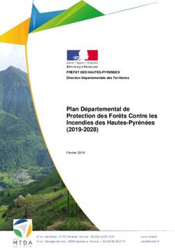 Plan Départemental de Protection des Forêts Contre les Incendies des Hautes-Pyrénées (2019-2028)