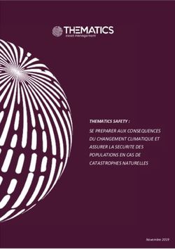 THEMATICS SAFETY : SE PREPARER AUX CONSEQUENCES DU CHANGEMENT CLIMATIQUE ET ASSURER LA SECURITE DES POPULATIONS EN CAS DE CATASTROPHES NATURELLES