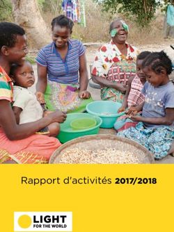 Rapport d'activit&eacute;s 2017/2018 - Light for the World