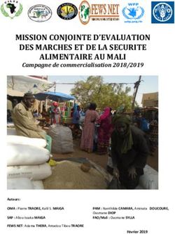 MISSION CONJOINTE D'EVALUATION DES MARCHES ET DE LA SECURITE ALIMENTAIRE AU MALI