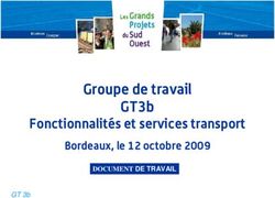 Groupe de travail GT3b - Fonctionnalités et services transport Bordeaux, le 12 octobre 2009 - R3 diaGT3 web