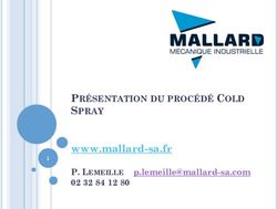 www.mallard-sa.fr PRÉSENTATION DU PROCÉDÉ COLD SPRAY - P. LEMEILLE 02 32 84 12 80