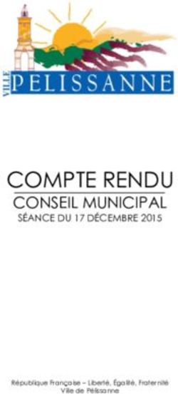 COMPTE RENDU CONSEIL MUNICIPAL SÉANCE DU 17 DÉCEMBRE 2015 - Pélissanne