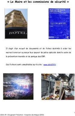 Le Maire et les commissions de s&eacute;curit&eacute;