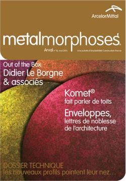 Komet fait parler de toits - Didier Le Borgne & associ&eacute;s