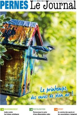 PERNES Le Journal - ENVIRONNEMENT Lutte contre les frelons asiatiques - Pernes les Fontaines