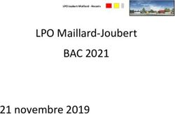 LPO Maillard-Joubert BAC 2021 - 21 novembre 2019 - Lyc&eacute;e Joubert-Emilien Maillard