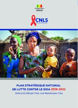 DE LUTTE CONTRE LE SIDA 2018-2022 - PLAN STRATÉGIQUE NATIONAL Vaincre le Sida par Tous, une Riposte pour Tous
