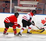 TEACHING CHECKING ENSEIGNER LA MISE EN &Eacute;CHEC A PROGRESSIVE APPROACH UNE APPROCHE PROGRESSIVE hockeycanada.ca - Saskatchewan Hockey Association