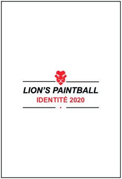 LION'S PAINTBALL IDENTIT&Eacute; 2020