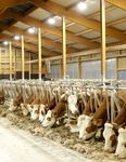&Eacute;clairage LED pour l'&eacute;table et la cour 2018 - Le nouveau standard tr&egrave;s avantageux - Kerbl France