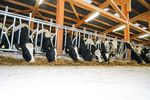 &Eacute;clairage LED pour l'&eacute;table et la cour 2018 - Le nouveau standard tr&egrave;s avantageux - Kerbl France