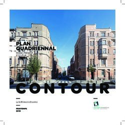 PLAN QUADRIENNAL PASSÉ, PRÉSENT ET FUTUR - PRINTEMPS 2019 - SLRB