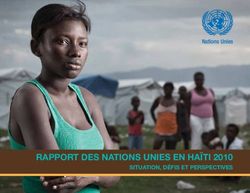 RAPPORT DES NATIONS UNIES EN HAÏTI 2010 - SITUATION, DÉFIS ET PERSPECTIVES - Nations Unies