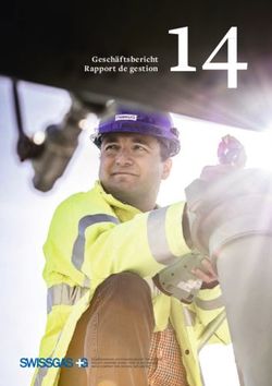 Rapport de gestion 14 - Geschäftsbericht - Swissgas