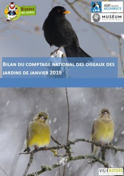 Bilan du comptage national des oiseaux des jardins de janvier 2019