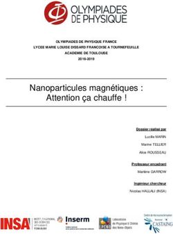Nanoparticules magnétiques : Attention ça chauffe ! - Olympiades de ...