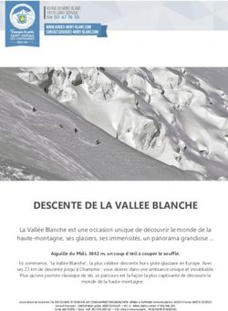 DESCENTE DE LA VALLEE BLANCHE - Guides Mont Blanc