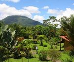 La Nature Costaricaine des Caraibes au Pacifique 2021