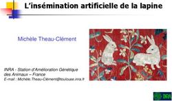 L'insémination artificielle de la lapine - Michèle Theau-Clément INRA - Station d'Amélioration Génétique des Animaux - France