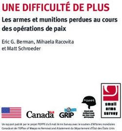 UNE DIFFICULTÉ DE PLUS - Les armes et munitions perdues au cours des opérations de paix - Small Arms Survey