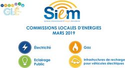 COMMISSIONS LOCALES D'ENERGIES MARS 2019 - Gaz - siem51