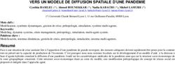 VERS UN MODELE DE DIFFUSION SPATIALE D'UNE PANDEMIE