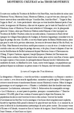 MONTREUX-CHÂTEAU et les TROIS MONTREUX