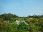 PLANTATION MODÈLE À BAIE-DU- FEBVRE - ROBVQ