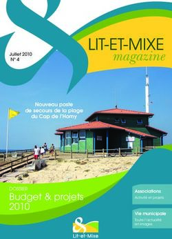 LIT-ET-MIXE magazine - Budget & projets 2010 - Mairie de Lit-et-Mixe