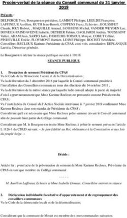 Procès-verbal de la séance du Conseil communal du 31 janvier 2019