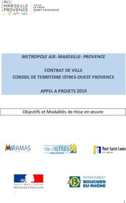 CONTRAT DE VILLE CONSEIL DE TERRITOIRE ISTRES-OUEST PROVENCE APPEL A PROJETS 2019 - METROPOLE AIX-MARSEILLE- PROVENCE