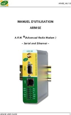 MANUEL D'UTILISATION ARM-SE - A.R.M.(Advanced Radio Modem ) - Serial and Ethernet
