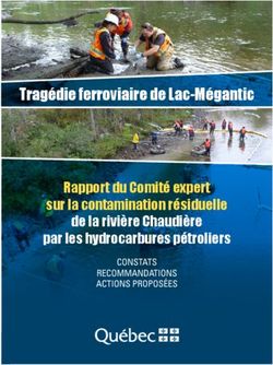 Tragédie ferroviaire de Lac-Mégantic - Rapport du Comité expert sur la contamination résiduelle de la rivière Chaudière par les hydrocarbures ...