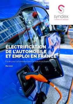 ÉLECTRIFICATION DE L'AUTOMOBILE ET EMPLOI EN FRANCE - Étude pour la Fondation pour la Nature et l'homme