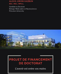PROJET DE FINANCEMENT DE DOCTORAT - L'avenir est entre vos mains - ALEXIS JORON HAZBUN - Eurojournalist(e)