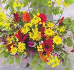 La libert&eacute;, simple absence de limite ? - R&eacute;form&eacute;s.ch