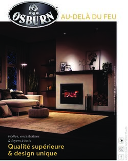 AU-Delà DU feU - Qualité supérieure & design unique Poêles, encastrables & foyers à bois - La ...