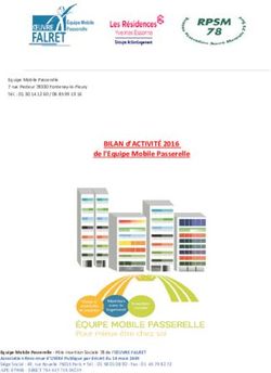 BILAN d'ACTIVITÉ 2016 - de l'Equipe Mobile Passerelle