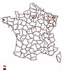 Raton laveur et chien viverrin : le point sur leur répartition en France