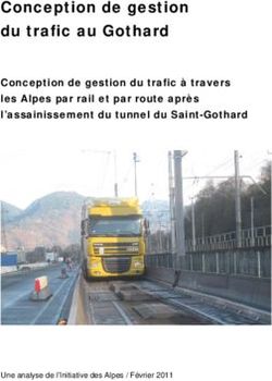 Conception de gestion du trafic au Gothard - Conception de gestion du trafic à travers les Alpes par rail et par route après l'assainissement du ...